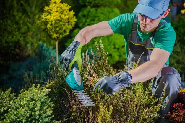 landscaping services Plainview
